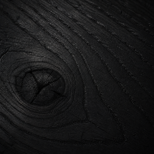Carbonized timber wood sample