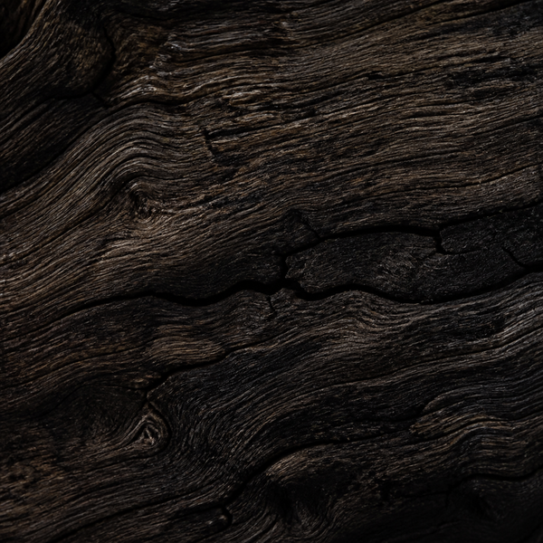 Bog Oak wood sample