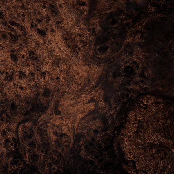 Walnut Burl wood sample